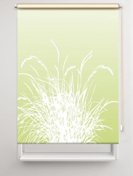 Rollo Reed24 Apfel dark, Rollo, Motivrollo, Rollo mit Druck, Fotorollo, bedrucktes Rollo, Fensterrollo,verdunkelndes Rollo, Sonnenschutz Rollo